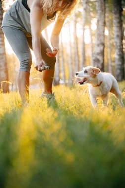 Elinde sopa tutan bir köpekle oyna..