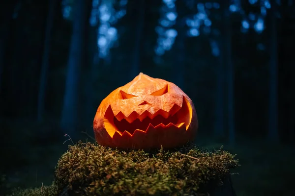 Kürbis mit geschnitztem Gesicht in einem dunklen Wald. — Stockfoto