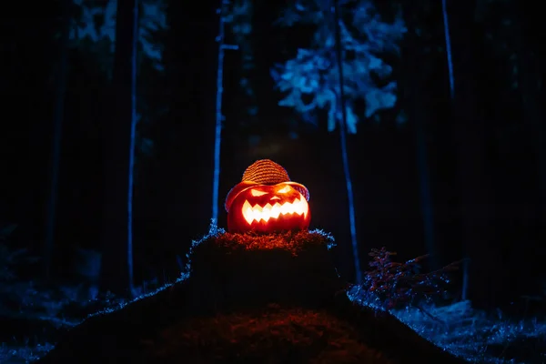 Halloween lámpa tökből készült egy komor erdőben egy rohadt fatörzsön. — Stock Fotó