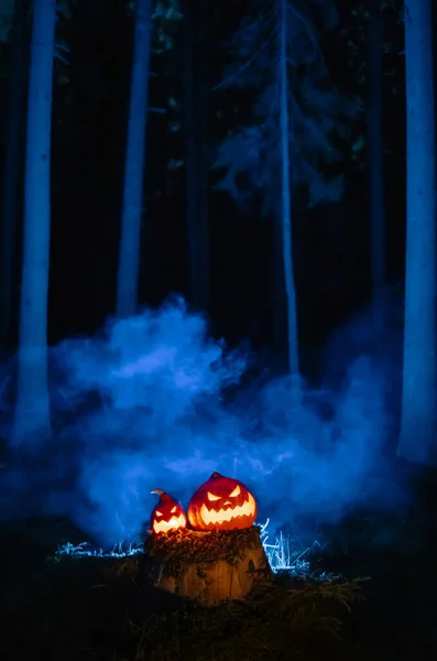 Kürbisse mit geschnitzten Gruselgesichtern in einem düsteren Wald in blauem Rauch. — Stockfoto