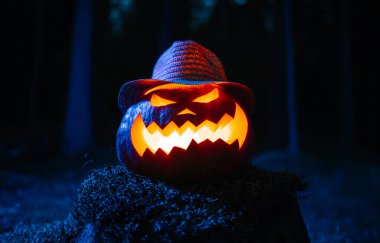 Tatilde kafasında şapkayla ormanın arka planına bakan fenerler..