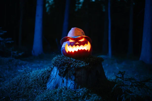 Lanterna de abóbora queimando na floresta escura no feriado de Halloween. — Fotografia de Stock