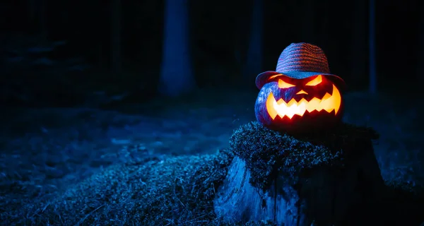 Kürbis zu Halloween mit blauer Beleuchtung des Waldes auf Baumstumpf mit Moos. — Stockfoto