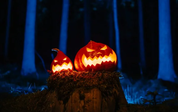 Faragott sütőtök lámpások Halloweenkor egy fatörzsön az erdőben. — Stock Fotó