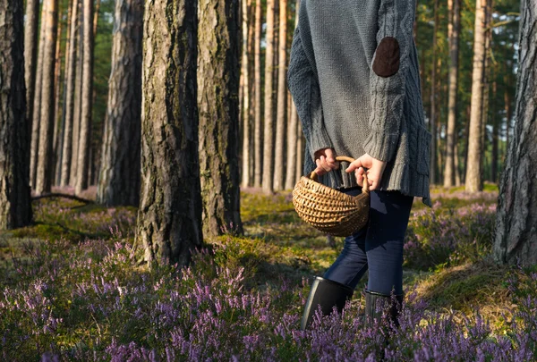 Girl standing back to camera in the forest and holding a basket. — Stock Photo, Image