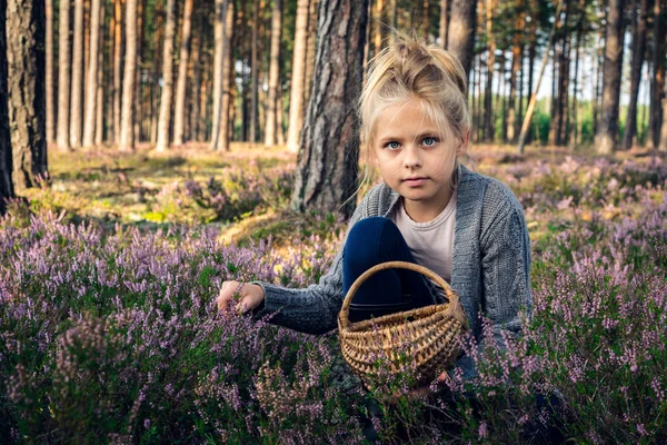 Hermosa chica rubia en el bosque recogiendo bayas en la cesta — Foto de Stock