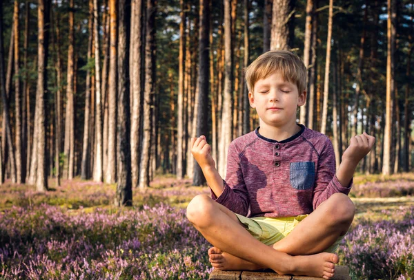 Küçük çocuk ormanda meditasyon.