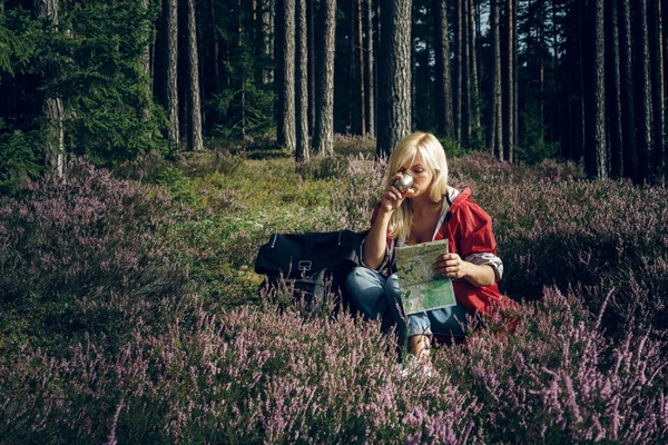 Young active woman tourist sitting in a clearing in the woods drinking tea from a thermos and looking map. Healthy active lifestyle concept.