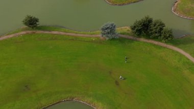 Güzel bir parkın yakınındaki yemyeşil bir çimenlikte köpekleriyle yürüyen tanınmayan iki insanın tepeden aşağı hava görüntüsü.