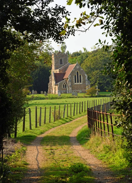 Bomen Landweg Kleine Kerk Van Deny Church Little Barford Bedfordshire — Stockfoto