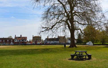 Godmanchester 'daki Park ve Causeway' de büyük bir ağaç ve bank var.. 