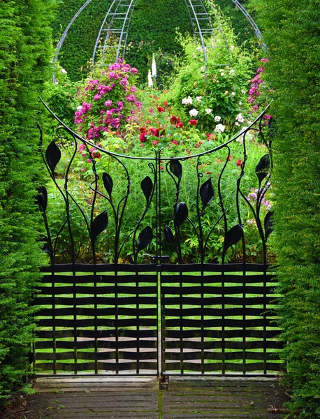 Adorável Portão Jardim Ferro Com Sebe Plantas Com Flores — Fotografia de Stock