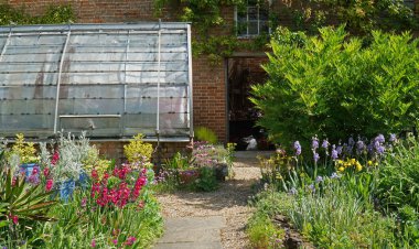 SHEPRETH, CAMBRIDGESHIRE, İngiltere - 23 Mayıs 2025: Güneşli bir günde seralar ve çiçekler