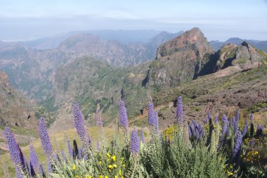 Madeira ve dağ başında gururu