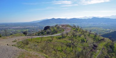 Badem ağaçları Hill Andalucia İspanya