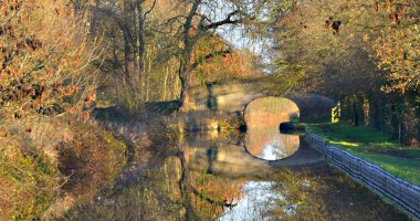 Sonbahar yaprakları Shropshire Birliği kanal Llangollen şube