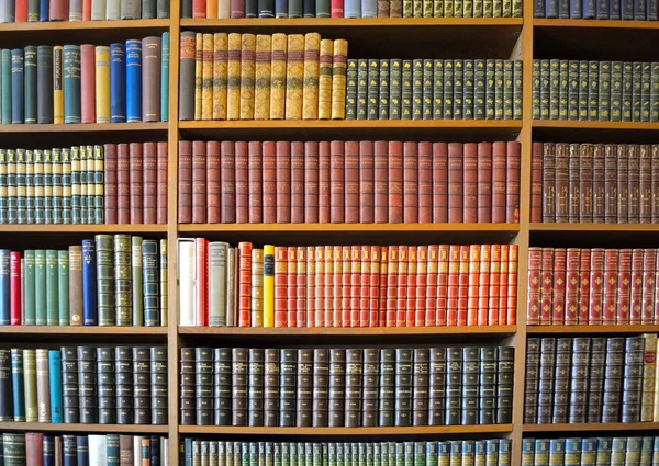 A Wall Covered in Beautiful Books — Stock Photo, Image