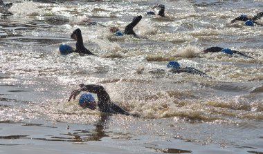 Nehir Ouse St Neots, triatlon yüzücüler.
