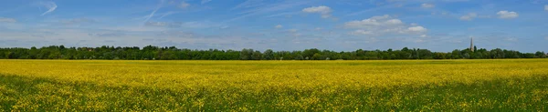 Hemmingford vody louka v divokých květů. — Stock fotografie