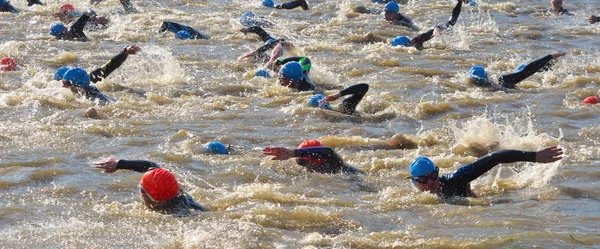 Compétiteurs de triathlon à l'étape de natation dans la rivière Ouse St Neots Cambridgeshire . — Photo