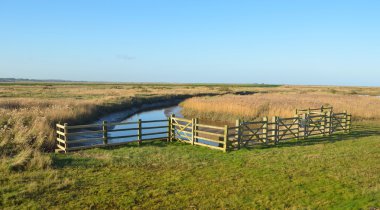 Cley bataklıklar doğa rezerv Kuzey Norfolk.