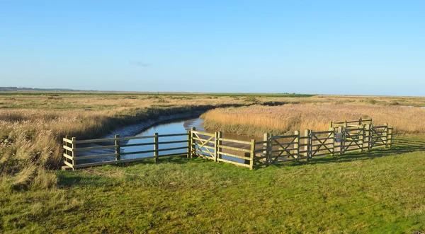 Cley marshes nature reserve north Norfolk. — Stock Photo, Image