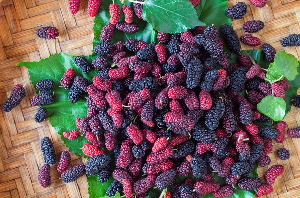 Färska mulberry i att tröska-korg — Stockfoto