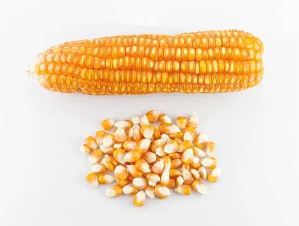 白い背景に分離された乾燥したトウモロコシの穀粒 — ストック写真