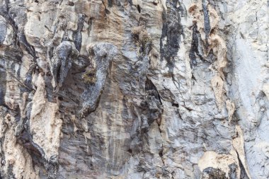 Kaya dağının uçurumu