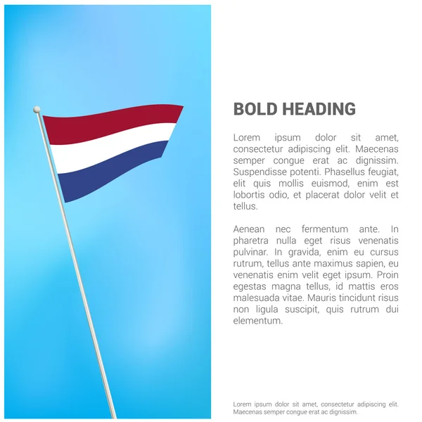 Broşür Hollanda bayrağı ile — Stok Vektör