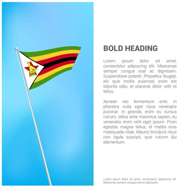 ジンバブエの国旗とパンフレット — ストックベクタ