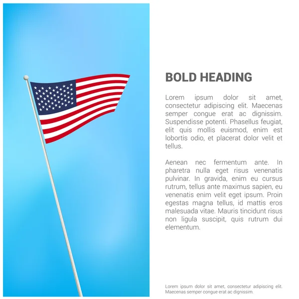 Brochure with USA flag — Stock Vector