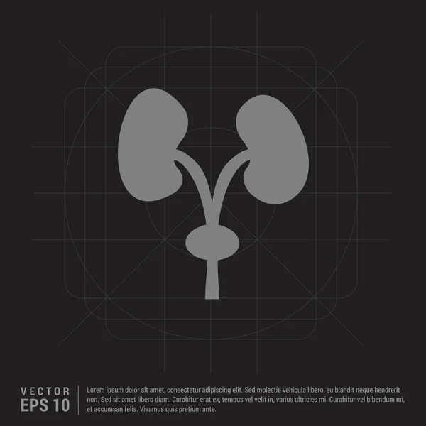 Menselijke nieren pictogram — Stockvector