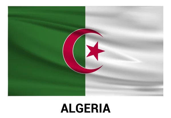 Algeria flag icon — Stock Vector