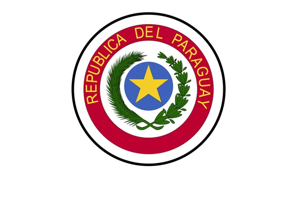 Paraguay flaggikonen — Stock vektor