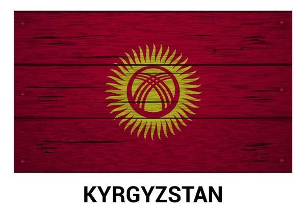 Kyrgyzstan Flagge auf Holz Textur Hintergrund — Stockvektor