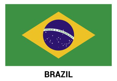 Brezilya bayrağı resmi renklerde
