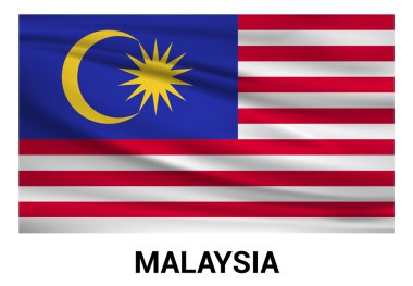 Malezya bayrağı resmi renklerde