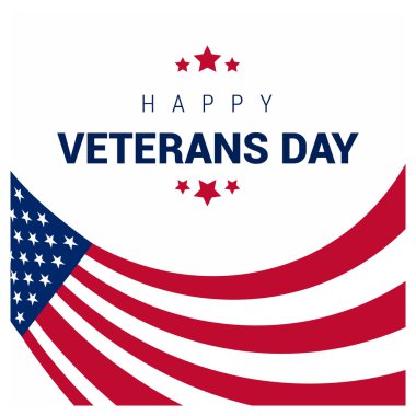 Gaziler günü, ABD bayrağı