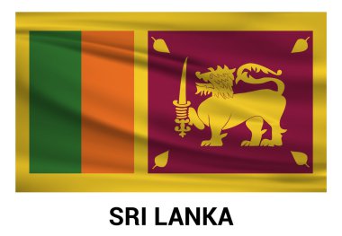 Sri Lanka bayrağı resmi renklerde