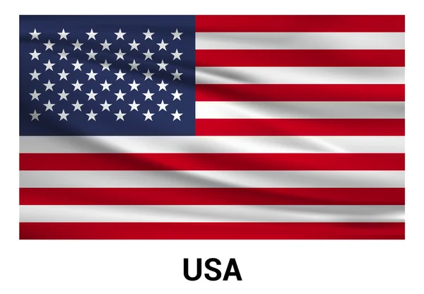 Etats-Unis Amérique Drapeau — Image vectorielle