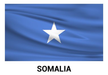 Somali bayrağı logo.