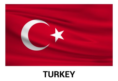 Türkiye'nin bayrak resmi renklerde