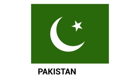 Pakistan bayrağı resmi renklerde