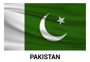 Pakistan bayrağı resmi renklerde