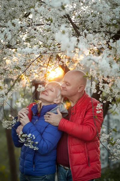 Feliz pareja de ancianos abrazo y sonrisa cerca del árbol de flores ; — Foto de Stock