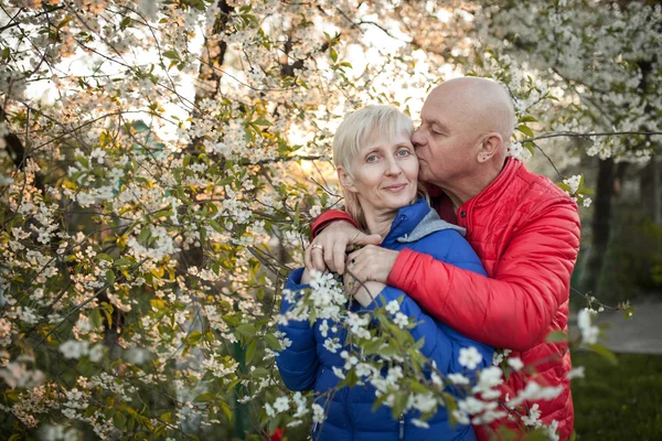 Happy seniors couple embrace and smile near blossom tree; — Stock Photo, Image