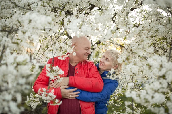 Feliz pareja de ancianos abrazo y sonrisa cerca del árbol de flores ; — Foto de Stock