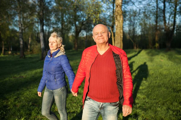 Happy seniors couple hold hands and walk; — Stock Photo, Image