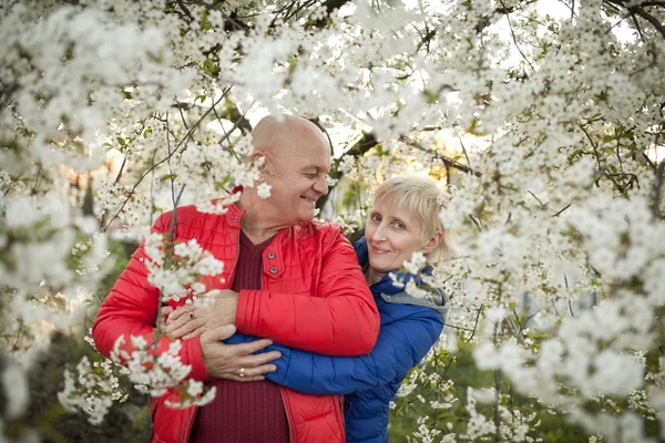 Happy seniors couple embrace and smile near blossom tree; — Stock Photo, Image